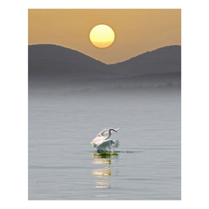 Matted Prints - "Sea Of Galilee" | Matted Print