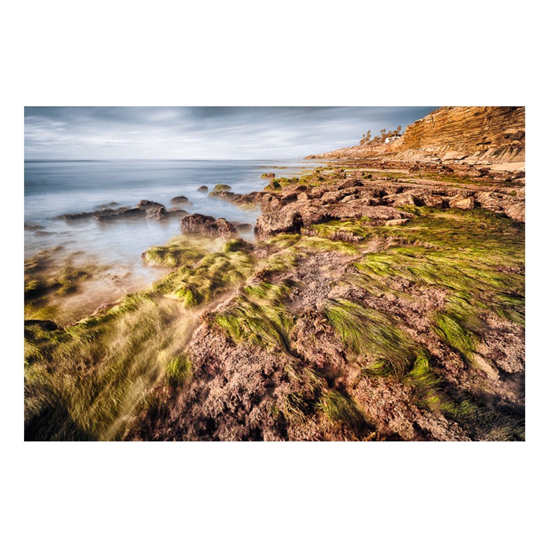 Matted Prints - Seagrass