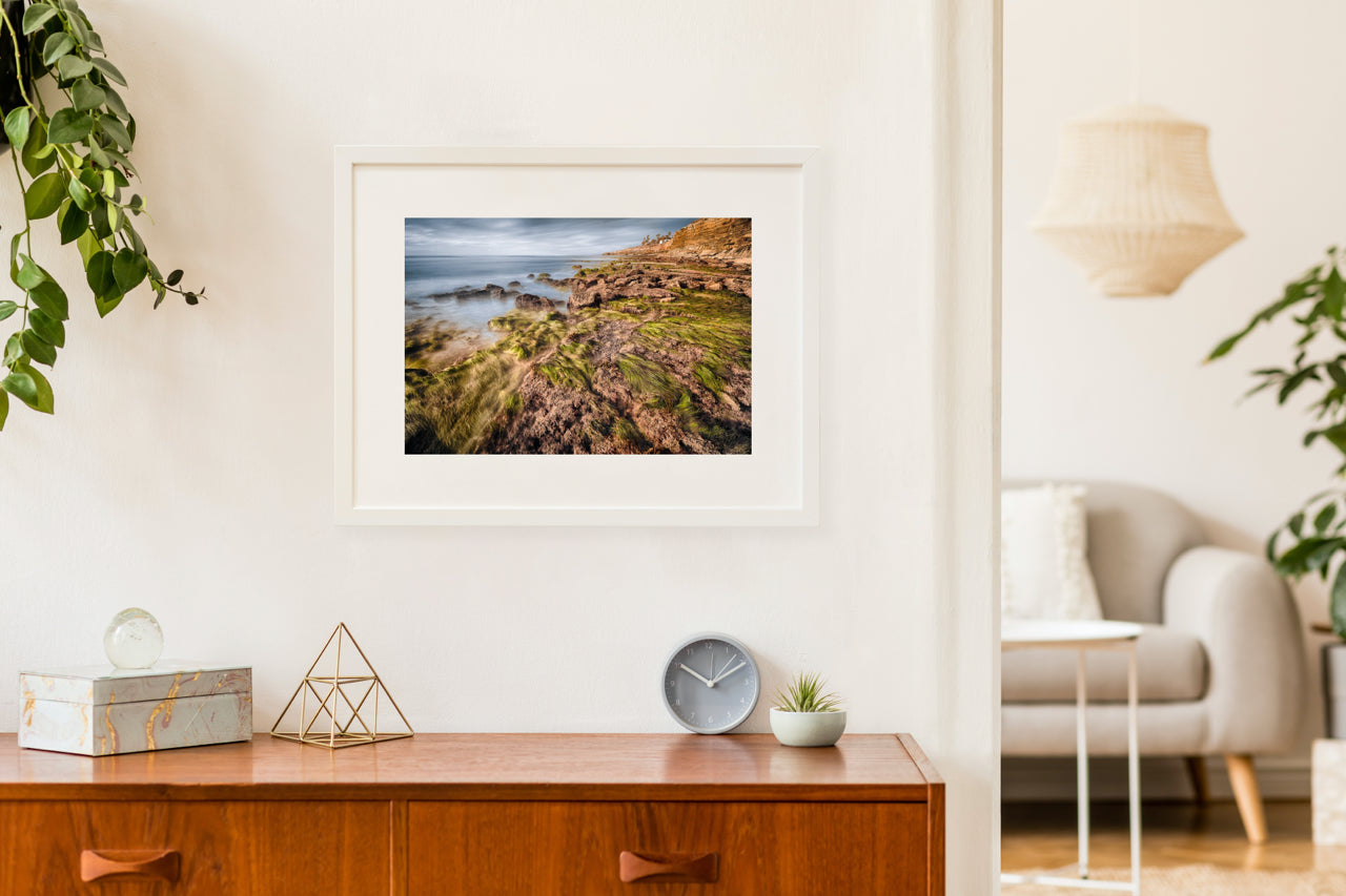Matted Prints - Seagrass