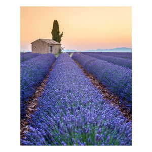 Matted Prints - "Stripes Of Lavendar" | Matted Print