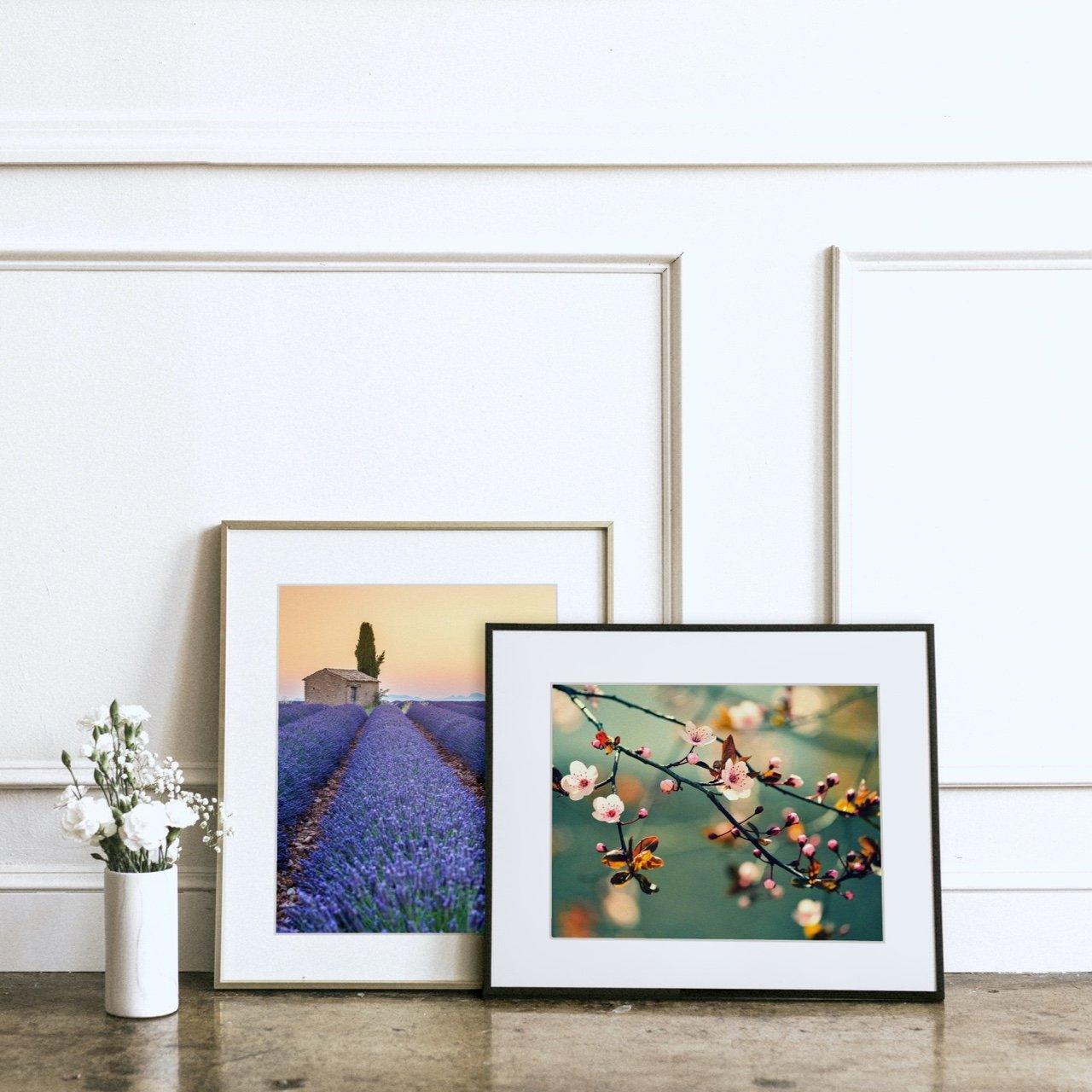 Matted Prints - "Stripes Of Lavendar" | Matted Print
