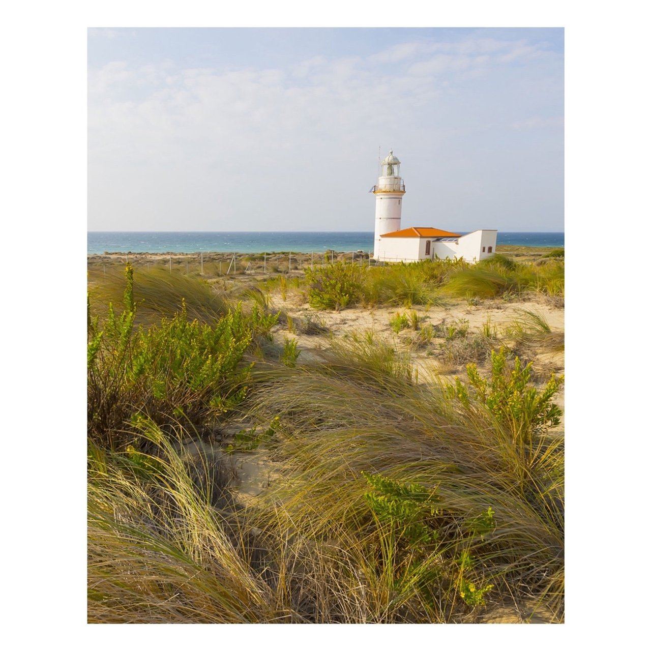 Matted Prints - "Wind And Sea" | Matted Print